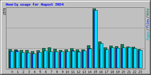 Hourly usage for August 2024